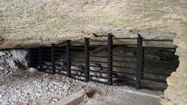 Jusque dans les années 60, la Grotte Saint-Marcel abritait d'importantes colonies de chauves-souris.